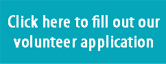 button for volunteer application